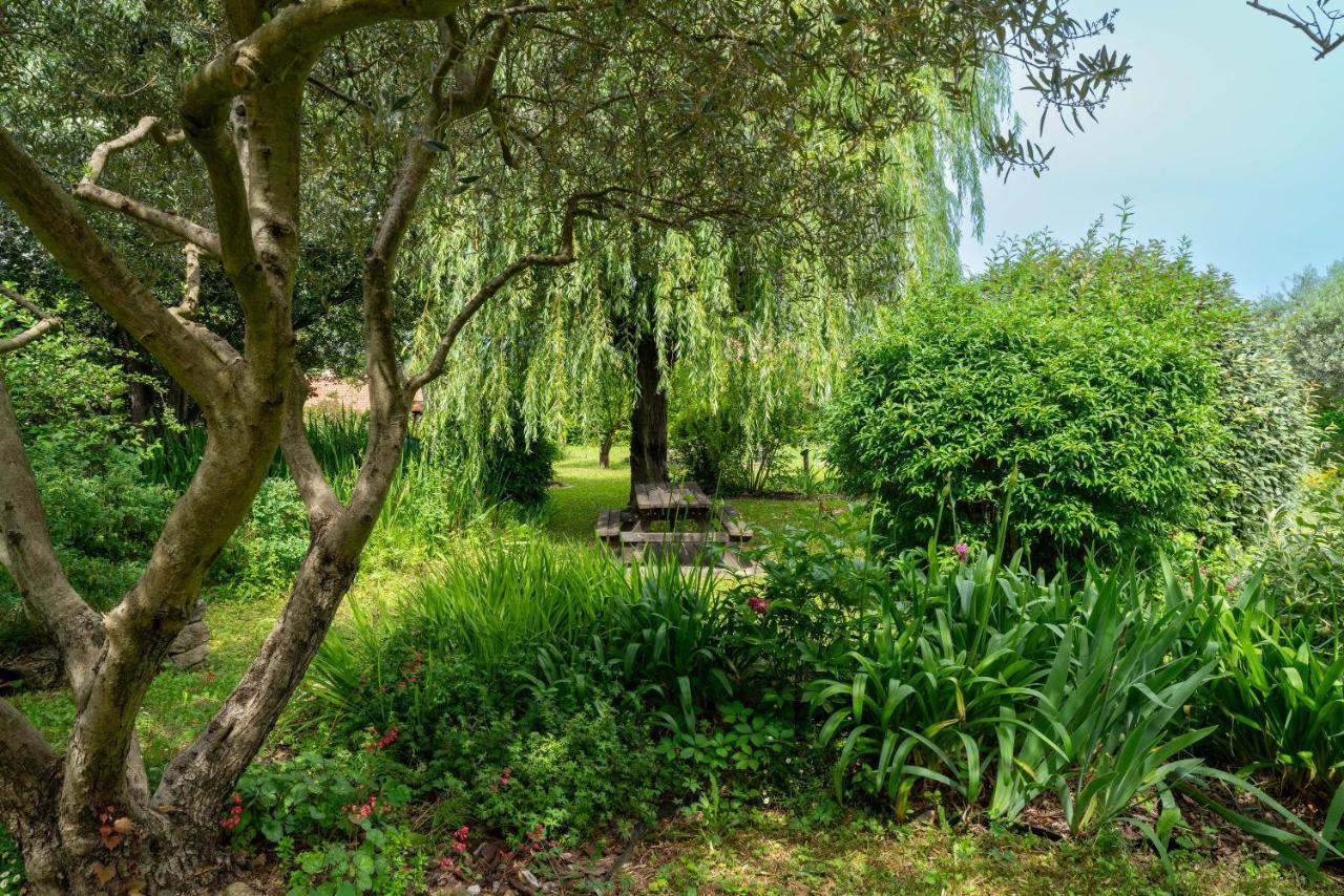 Villa La Mireio Malaucène Kültér fotó